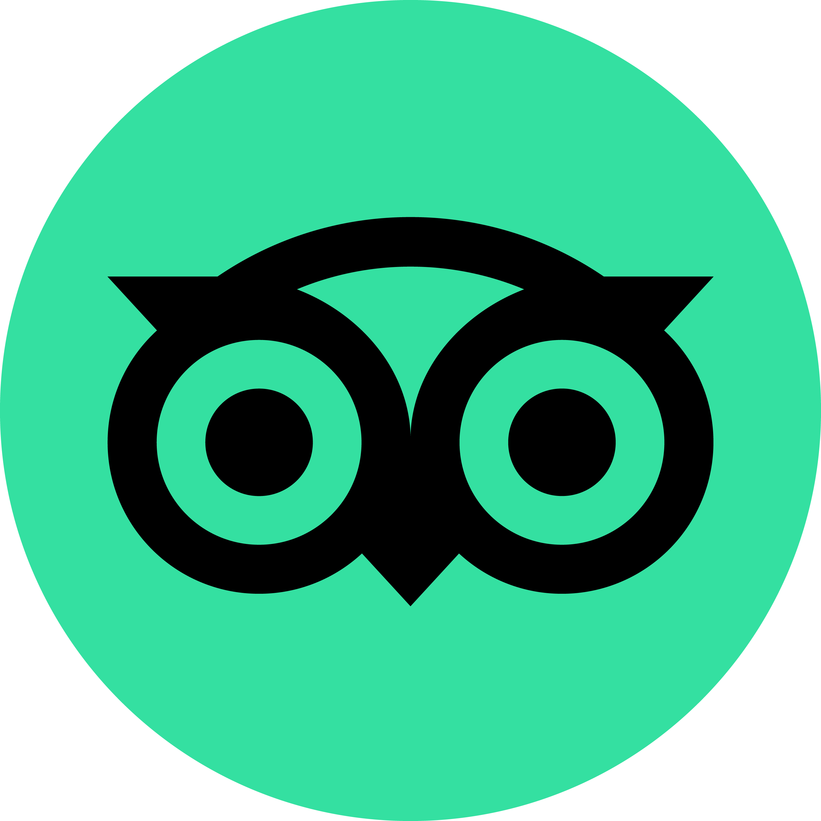 TripAdvisor Logo